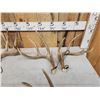 Image 3 : 6 Matched Sets Of Whitetail Antlers