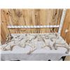 Image 1 : 31 Lbs Of Wild Whitetail Shed Antlers