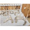 Image 2 : 31 Lbs Of Wild Whitetail Shed Antlers