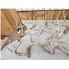 Image 5 : 31 Lbs Of Wild Whitetail Shed Antlers