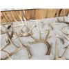 Image 4 : 32.9 Lbs Of Whitetail Shed Antlers