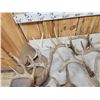 Image 8 : 32.9 Lbs Of Whitetail Shed Antlers
