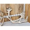 Image 3 : 16.9 Lbs Of Caribou Antlers