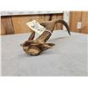 Image 5 : Main Frame 4 Point Wild Whitetail Shed Antler