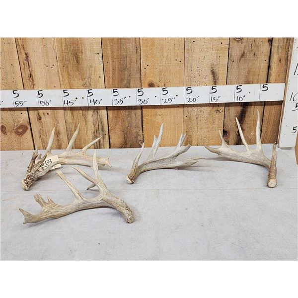 6.5 Lbs Of Whitetail Antlers