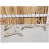 Image 1 : 6.5 Lbs Of Whitetail Antlers
