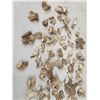 Image 3 : 17.7 Lbs Of Elk & Whitetail Shed Burrs