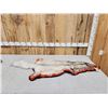 Image 1 : Blue Ranch Fox Rug Taxidermy