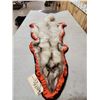 Image 3 : Blue Ranch Fox Rug Taxidermy