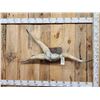 Image 1 : Authentic Freak 3 Horn Steer Horns On Skull Plate