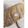 Image 5 : Alaskan Dall Sheep Horns On Skull Plate