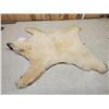 Image 2 : Monster Antique Polar Bear Rug Taxidermy