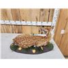 Image 6 : Whitetail Fawn Full Body Taxidermy Mount