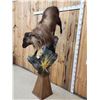 Image 5 : Nice Tahr Climbing Down A Rock Full Body Taxidermy Mount