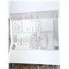 Image 14 : Record Book Eurasian Brown Bear Full Body Taxidermy Mount