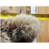 Image 3 : Record Book Eurasian Brown Bear Full Body Taxidermy Mount