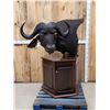 Image 1 : African Cape Buffalo Pedestal Taxidermy Mount