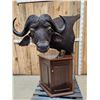 Image 2 : African Cape Buffalo Pedestal Taxidermy Mount