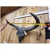 Image 10 : Ancient Steppe Bison Skull Replica fossilized fossil