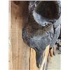Image 7 : Ancient Steppe Bison Skull Replica fossilized fossil