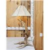 Image 3 : Spectacular Self Standing Moose Shed Antler Lamp