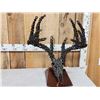 Image 2 : Hand Fabricated Metal Whitetail Deer Skull Sculpture