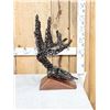 Image 5 : Hand Fabricated Metal Whitetail Deer Skull Sculpture