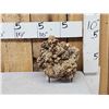 Image 1 : 12.2 Lbs Aragonite Mineral Specimen