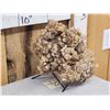 Image 2 : 12.2 Lbs Aragonite Mineral Specimen