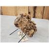 Image 4 : 12.2 Lbs Aragonite Mineral Specimen