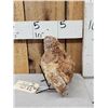 Image 4 : Gorgeous 18lbs Pink & Peach Dog Tooth Calcite Mineral Specimen