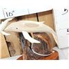 Image 3 : Alaskan Inuit Carved Ehale Cow & Calf In Bone
