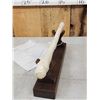 Image 4 : Alaskan Walrus Oosik Penis Bone Taxidermy