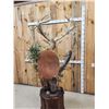 Image 10 : Monster Red Stag Pedestal Taxidermy Mount