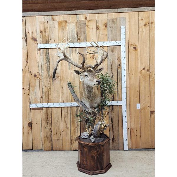 Monster Red Stag Pedestal Taxidermy Mount