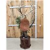 Image 9 : Monster Red Stag Pedestal Taxidermy Mount