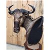 Image 9 : African Blonde Wildebeest Pedestal Taxidermy Mount