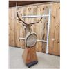 Image 8 : Gorgeous 6x6 Elk Pedestal Taxidermy Mount