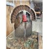 Image 3 : 2nd In The Series Of 4 Grand Slam Turkeys to be sold consecutively Bird Taxidermy