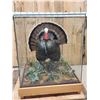 Image 1 : 3rd In The Series Of 4 Grand Slam Turkeys Bird Taxidermy