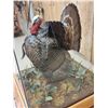 Image 4 : 3rd In The Series Of 4 Grand Slam Turkeys Bird Taxidermy