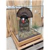 Image 2 : 4th In A Consecutive Series Of 4 Grand Slam Turkeys Bird Taxidermy