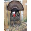 Image 3 : 4th In A Consecutive Series Of 4 Grand Slam Turkeys Bird Taxidermy