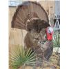 Image 6 : 4th In A Consecutive Series Of 4 Grand Slam Turkeys Bird Taxidermy
