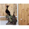 Image 10 : Male & Female Great Curassow Full Body Bird Taxidermy