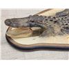 Image 3 : Alligator Rug On Wood Display