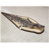 Image 5 : Alligator Rug On Wood Display