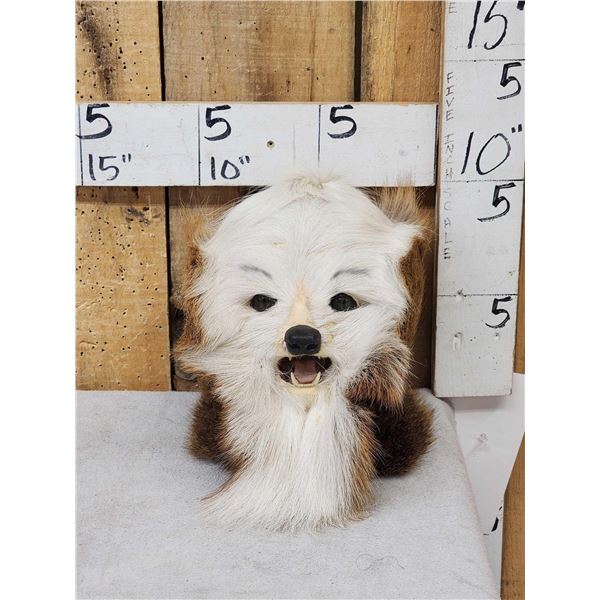 The Dreaded Woolly Swamp Booger Table Top Pedestal Taxidermy Mount