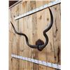 Image 3 : African Kudu Horns On Plaque