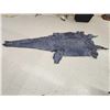 Image 2 : Big Alligator Tanned Skin Taxidermy